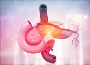 Anatomy of pancreas chirhostim synthetic human secretin