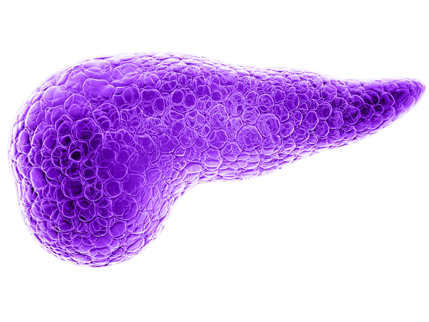 Geneticists Oncologist Pancreas