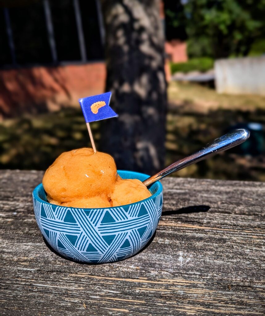 Summer Peach Sorbet - Pancreatitis Friendly